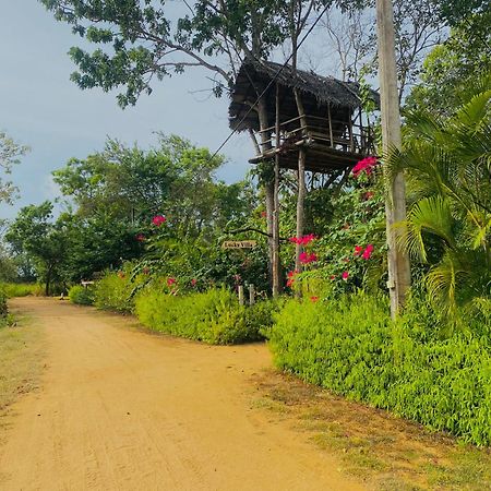 Sigiri Lucky View Villa Sigiriya Exterior foto