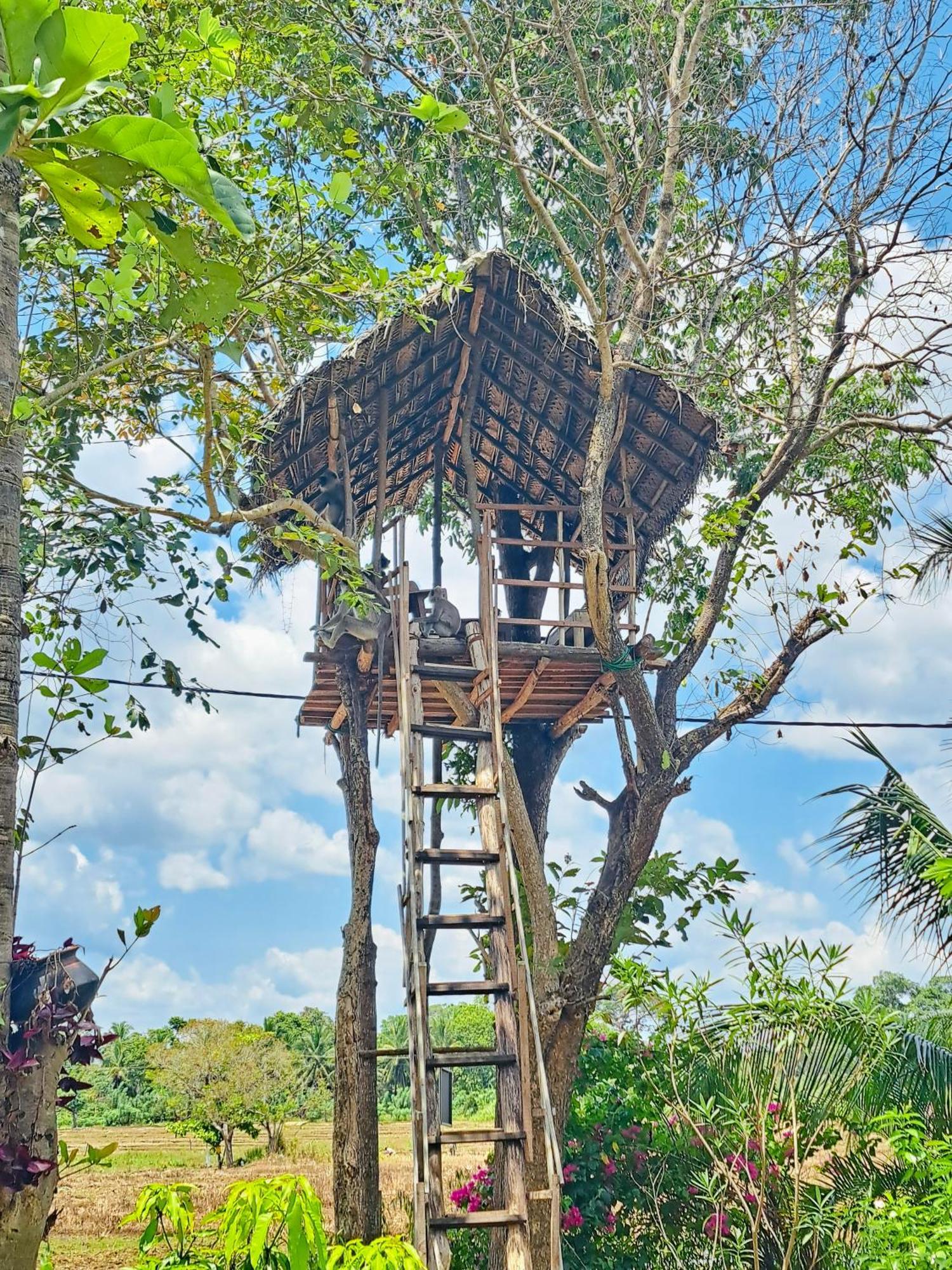Sigiri Lucky View Villa Sigiriya Exterior foto