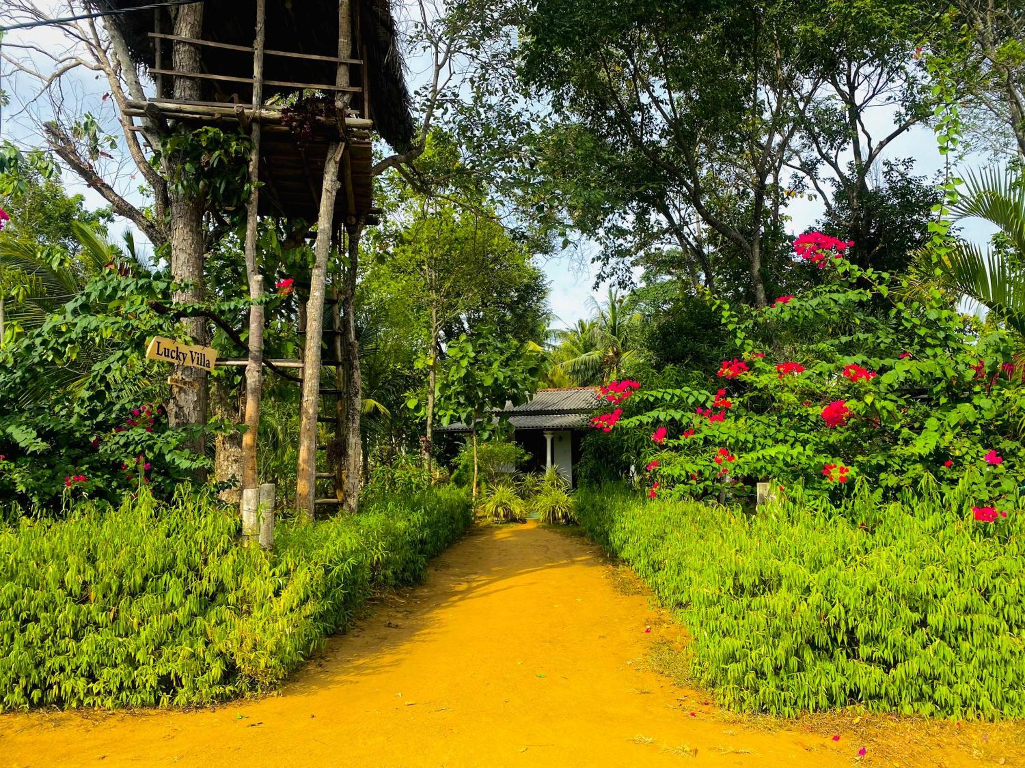 Sigiri Lucky View Villa Sigiriya Exterior foto