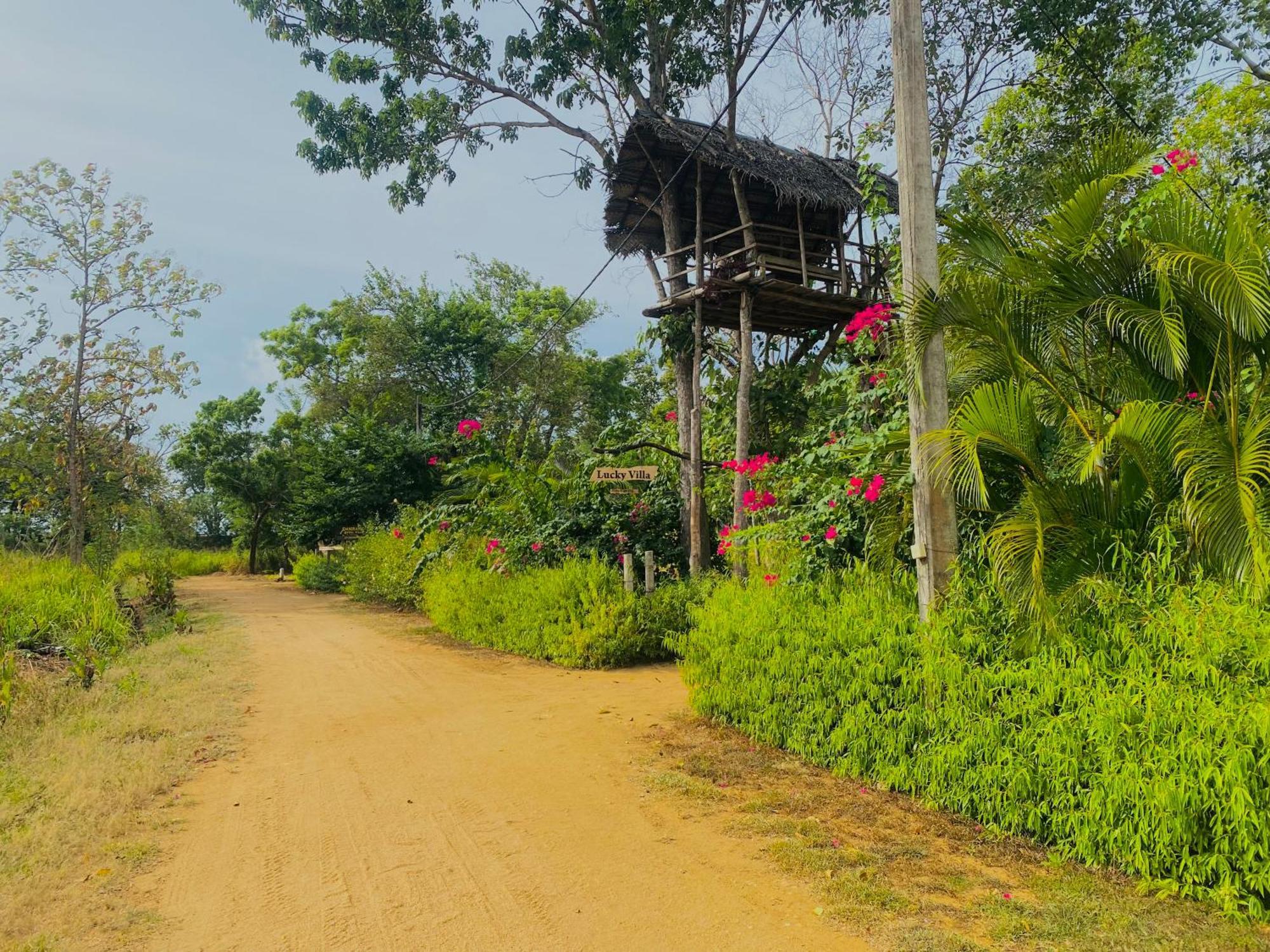 Sigiri Lucky View Villa Sigiriya Exterior foto